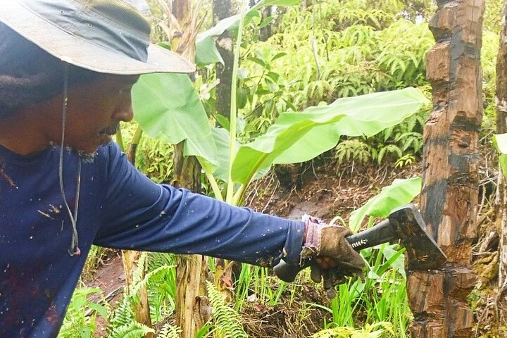 Jason Carving a Tiki